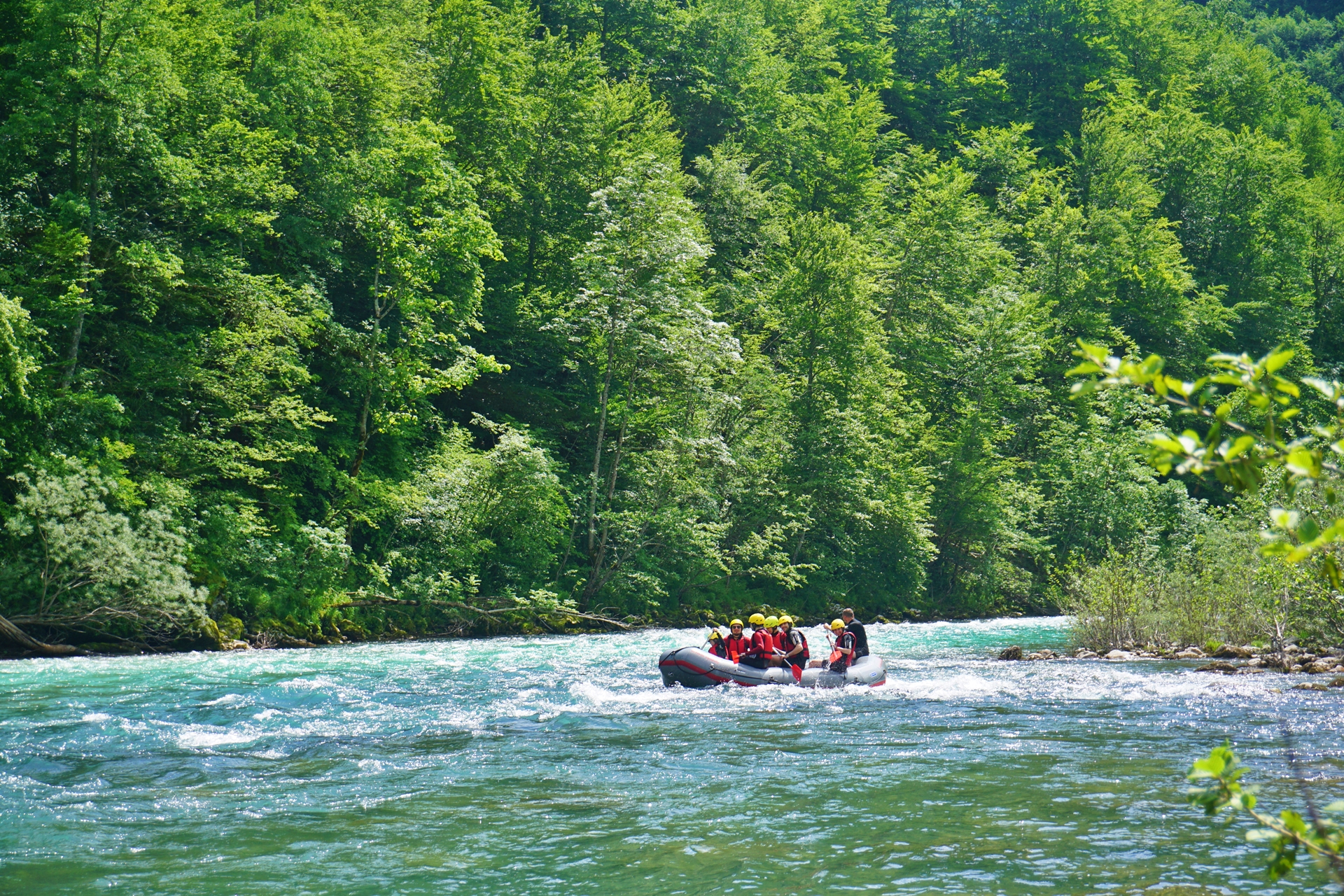 Beginner rafting on Tara River in Montenegro