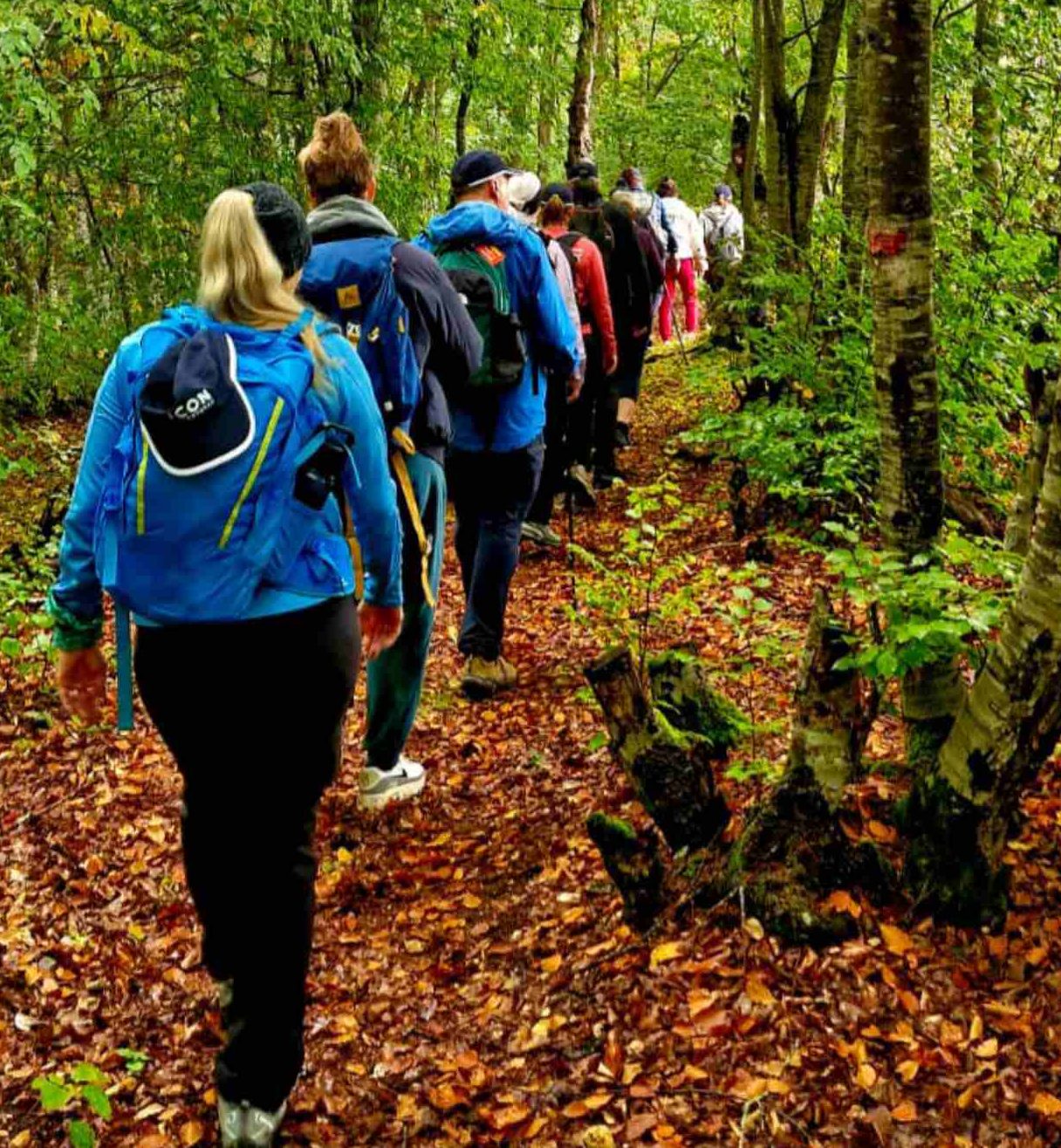 viber_image_2026-01-27_10-00-36-446